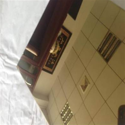 SS 316 Colored Stainless Steel Sheets